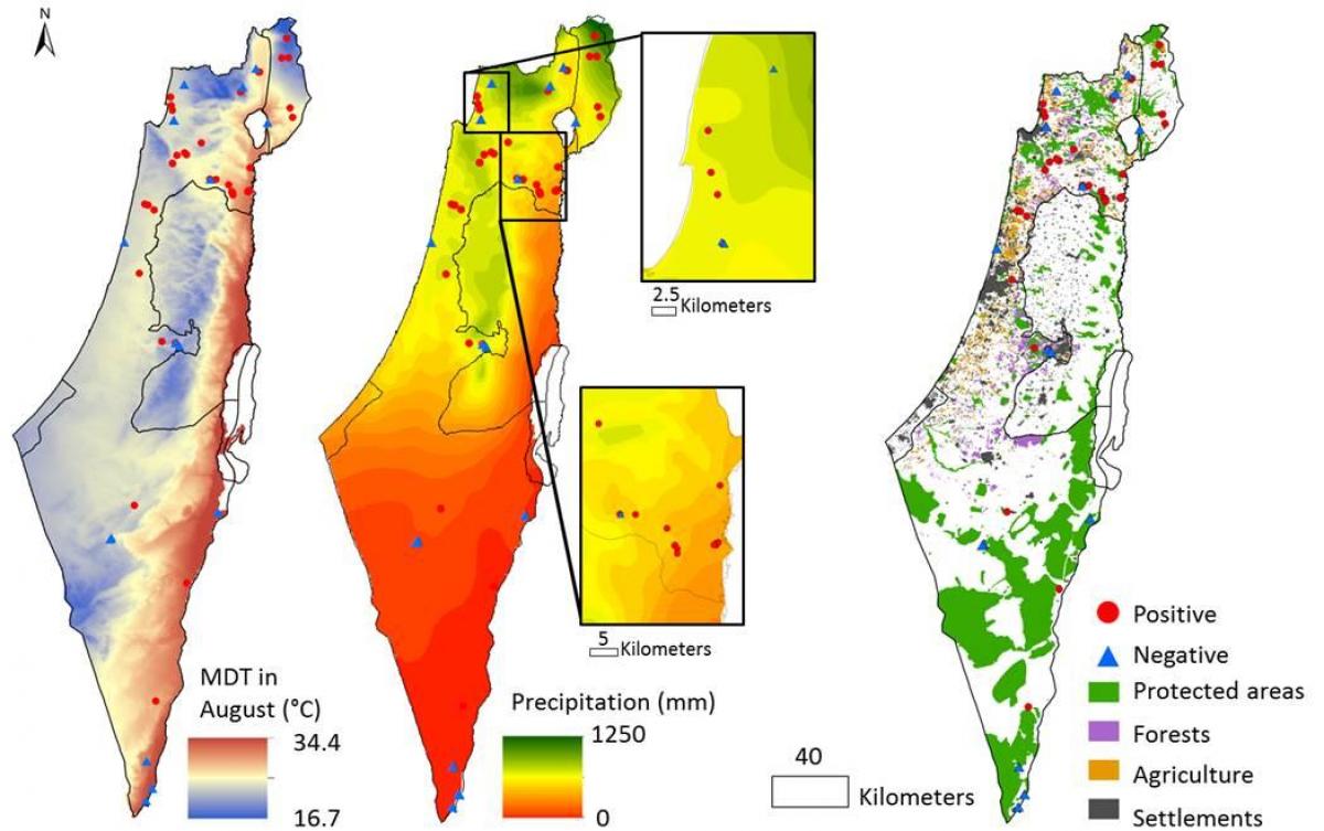 kart İsrail iqlim